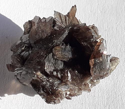 Axinite-(Fe)<br />Puiva Mount, Saranpaul, Khanty-Mansi Okrug, Tyumen Oblast, Russia<br />2,5 x 2 cm<br /> (Author: Volkmar Stingl)