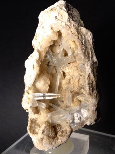 Celestine<br />Costa de l'Aguda, Torà , Comarca Solsonès, Lérida / Lleida, Catalonia / Catalunya, Spain<br />85 x 48 mm<br /> (Author: Sante Celiberti)