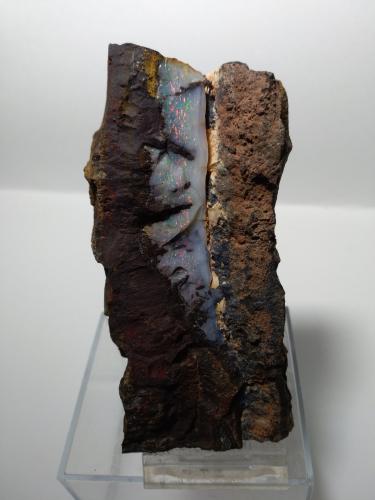 Opal,<br />Quilpie, Condado Quilpie, Queensland, Australia<br />10 x 5 cm<br /> (Author: Sante Celiberti)