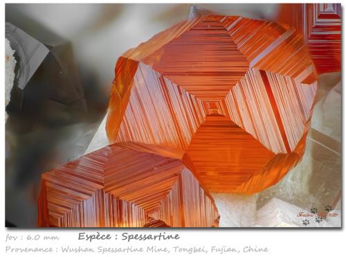 Spessartine<br />Catas Spessartina Wushan, Tongbei, Yunxiao, Prefectura Zhangzhou, Provincia Fujian, China<br />fov 6.0 mm<br /> (Author: ploum)