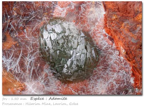 Adamite<br />Hilarion Mine, Hilarion area, Kamariza Mines, Agios Konstantinos, Lavrion Mining District, Attikí (Attica) Prefecture, Greece<br />fov 1.50 mm<br /> (Author: ploum)