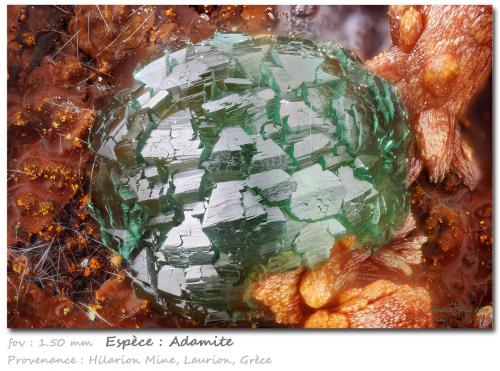 Adamite<br />Hilarion Mine, Hilarion area, Kamariza Mines, Agios Konstantinos, Lavrion Mining District, Attikí (Attica) Prefecture, Greece<br />fov 1.50 mm<br /> (Author: ploum)