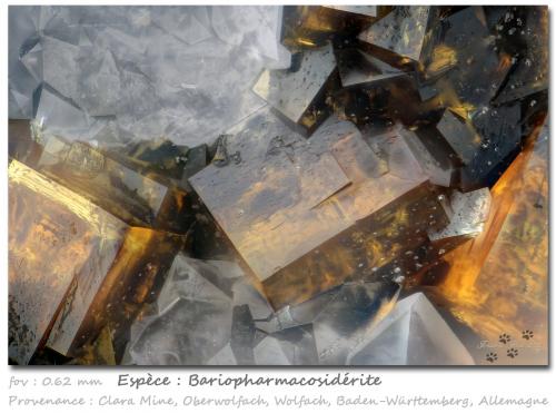 Bariopharmacosiderite<br />Clara Mine, Rankach Valley, Oberwolfach, Wolfach, Black Forest, Baden-Württemberg, Germany<br />fov 0.62 mm<br /> (Author: ploum)