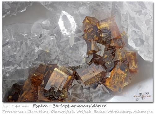 Bariopharmacosiderite<br />Clara Mine, Rankach Valley, Oberwolfach, Wolfach, Black Forest, Baden-Württemberg, Germany<br />fov 1.44 mm<br /> (Author: ploum)