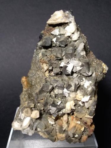 Arsenopyrite, Quartz<br />Trepča Complex, Trepča Valley, Kosovska Mitrovica, Kosovska Mitrovica District, Kosovo<br />11,5 x 8 cm<br /> (Author: Sante Celiberti)