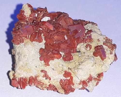 Vanadinite<br />Mina ACF, Distrito minero Mibladen, Mibladen, Midelt, Provincia Midelt, Región Drâa-Tafilalet, Marruecos<br />3 x 2 cm<br /> (Author: Volkmar Stingl)