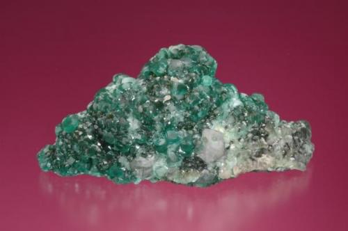 Smithsonite  ( Cuprian ) with Cerussite
Tsumeb mine, Ojikoto region
Namibia
9.5 x 4.3 x 3.5 cm (Author: Gail)