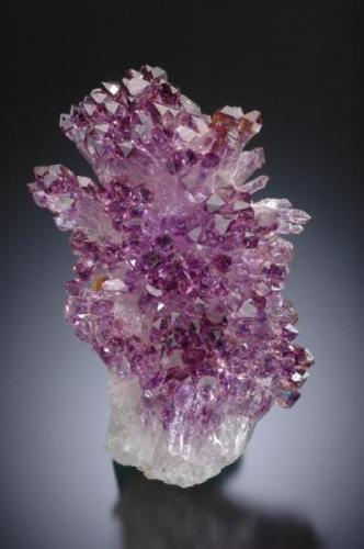 Quartz var. Amethyst
( sceptered ) 
Kanur, Chennai ( Madrass ) 
India
6.5 x 10.2 x5.0 cm (Author: Gail)