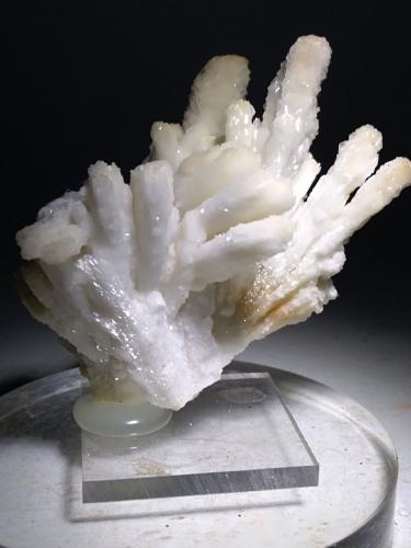 Barita<br />Brosso Mine, Cálea, Léssolo, Canavese District, Metropolitan City of Turin Province, Piedmont (Piemonte), Italy<br />54 x 50 mm<br /> (Autor: Sante Celiberti)