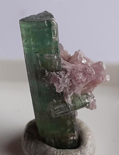 Elbaite, 'lepidolite'<br />Minas Gerais, Brazil<br />2 cm<br /> (Author: Volkmar Stingl)