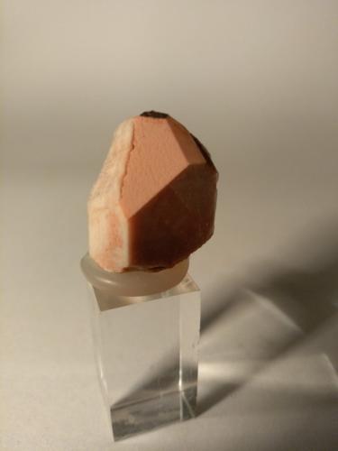 Ortoclasa<br />Baveno, Maggiore Lake, Verbano-Cusio-Ossola Province, Piedmont (Piemonte), Italy<br />25 x 16 mm<br /> (Autor: Sante Celiberti)