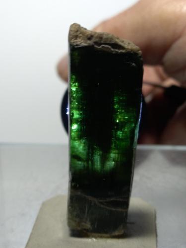 Diopside<br />Valle Ziller (Zillertal), Tirol Norte, Tirol, Austria<br />45 x 14 mm<br /> (Author: Sante Celiberti)