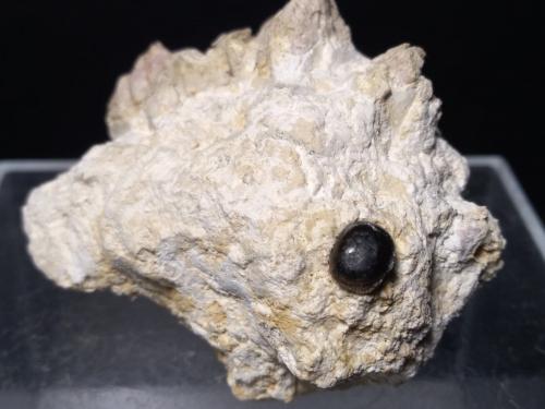 glauconita<br />Terruggia, Alessandria Province, Piedmont (Piemonte), Italy<br />52 x 42 mm<br /> (Autor: Sante Celiberti)