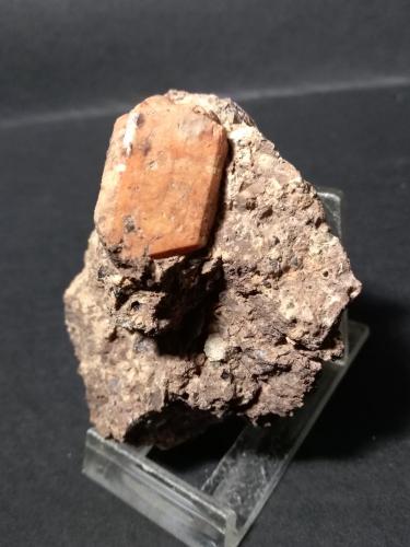 Ortoclasa<br />Valfloriana, Trento Province, Trentino-Alto Adige (Trentino-Südtirol), Italy<br />78 x 58 mm<br /> (Autor: Sante Celiberti)