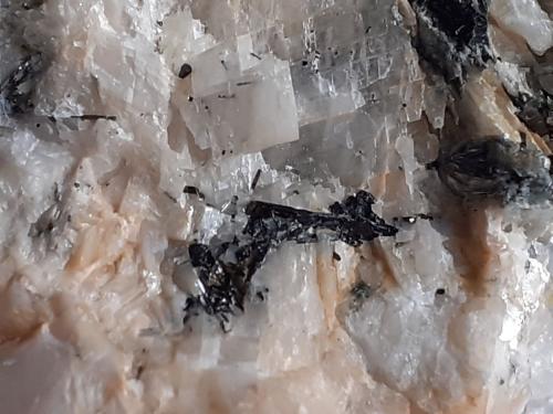 Schorl (Tourmaline Group)<br />Rifflkees, Valle Stubach, Distrito Zell am See, Salzburgo/Salzburg, Austria<br />8,5 x 7 cm<br /> (Author: Volkmar Stingl)