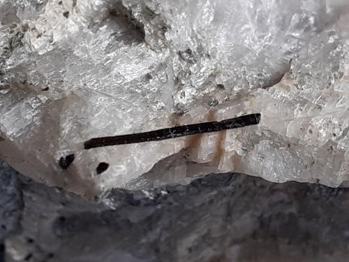 Schorl (Tourmaline Group)<br />Rifflkees, Valle Stubach, Distrito Zell am See, Salzburgo/Salzburg, Austria<br />8,5 x 7 cm<br /> (Author: Volkmar Stingl)