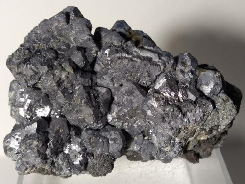 Galena, Sphalerite<br />Trzebionka Mine, Trzebinia, Chrzanów District , Małopolskie, Poland<br />87 x 72 mm<br /> (Author: Sante Celiberti)