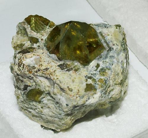 Here you can enjoy a Grossular var. Tsavorite crystal of 3.5 (1¼ inches) on 7 cm. (2¾ inches) matrix. It is a member of the garnet group, species Grossular, whose green color is due to trace amounts of vanadium and/or chromium. The excellent color and good transparency make this specimen worthy of being shown in the main Folch collection, it is from a recent find in Madagascar. 
This is one of the specimens that has been acquired by the Folch Collection through the sale of their duplicates via Fabre Minerals. (Author: Joan Rosell)