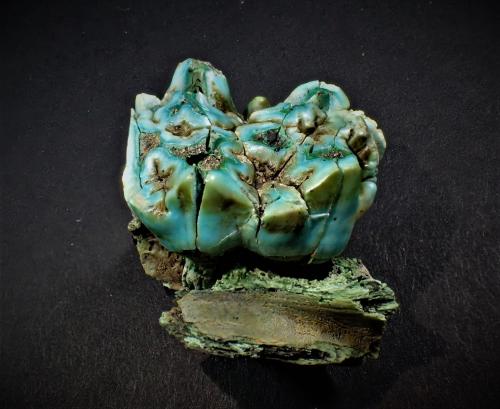 'Apatite' (variety odontolite after fossil tooth)<br />Mockleiten Mine, Brixlegg, Kufstein District, Inn Valley, North Tyrol, Tyrol/Tirol, Austria<br />28.5 mm x 22.4 mm x 20 mm<br /> (Author: Don Lum)