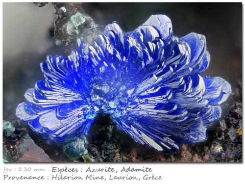 Azurite<br />Hilarion Mine, Hilarion area, Kamariza Mines, Agios Konstantinos, Lavrion Mining District, Attikí (Attica) Prefecture, Greece<br />fov 2.30 mm<br /> (Author: ploum)