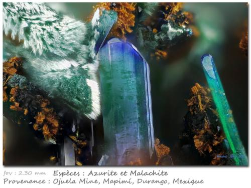 Azurite/Malachite<br />Ojuela Mine, Mapimí, Municipio Mapimí, Durango, Mexico<br />fov 2.30 mm<br /> (Author: ploum)