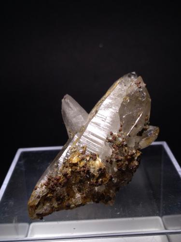 Quartz, Rutile, Muscovite<br />Ticino (Tessin), Switzerland<br />67 x 44 mm<br /> (Author: Sante Celiberti)