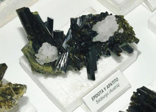 More European Classics. An european collector’s dream: Epidote from Knappenwand, Austria. Very few specimens are as perfect as this one from Folch’s collection. This one, also with Fluorapatite crystals, is 14 cm. (5½ inches) across. (Author: Joan Rosell)