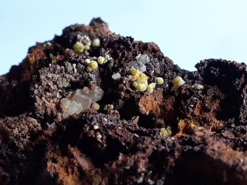 Mimetite, Calcite<br />Ojuela Mine, Mapimí, Municipio Mapimí, Durango, Mexico<br />7 x 4,5 cm<br /> (Author: Volkmar Stingl)