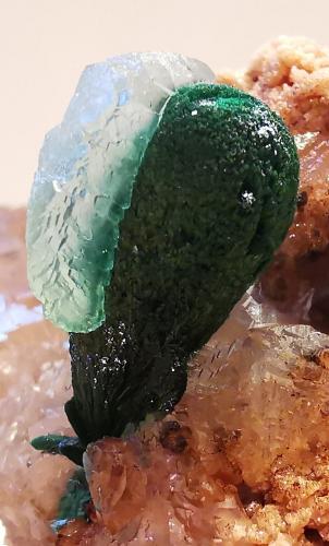 Malachite<br />Bleida Mine, Tinzouline, Zagora Province, Drâa-Tafilalet Region, Morocco<br />1,5 cm<br /> (Author: Enrique Llorens)