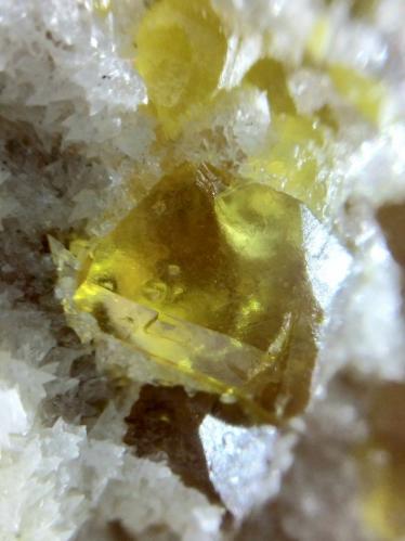 Sulphur with Calcite<br />La Grasta Mine, Delia, Caltanissetta Province, Sicily, Italy<br />Cm 0.4<br /> (Author: mineralenzo)