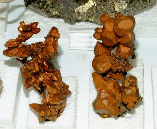 USA mineral classics is where the Folch Collection is very strong. Two excellent 11-13 cm. (4½ - 5 inches) tall native Copper specimens from Michigan. Both the crystal definition and their high quality can be considered exceptional. Really top  specimens. (Author: Joan Rosell)