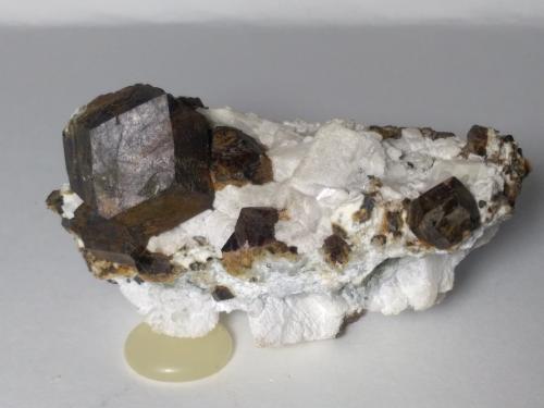 Magnetita<br />Brosso Mine, Cálea, Léssolo, Canavese District, Metropolitan City of Turin Province, Piedmont (Piemonte), Italy<br />65 x 37 mm<br /> (Autor: Sante Celiberti)