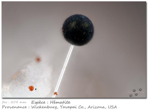 Hematite<br />Concesiones S y O, Wickenburg, Condado Yavapai, Arizona, USA<br />fov 0.74 mm<br /> (Author: ploum)
