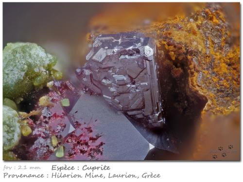 Cuprite<br />Hilarion Mine, Hilarion area, Kamariza Mines, Agios Konstantinos, Lavrion Mining District, Attikí (Attica) Prefecture, Greece<br />fov 2.1 mm<br /> (Author: ploum)