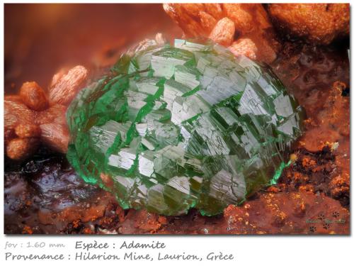 Adamite<br />Hilarion Mine, Hilarion area, Kamariza Mines, Agios Konstantinos, Lavrion Mining District, Attikí (Attica) Prefecture, Greece<br />Fov 1.60 mm<br /> (Author: ploum)