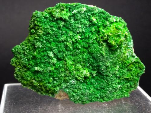 Pyromorphite<br />Gute Hoffnung Mine, (Bescheid), Bleibuir, Mechernich, Euskirchen, Eifel, Rhineland-Palatinate/Rheinland-Pfalz, Germany<br />65 x 48 mm<br /> (Author: Sante Celiberti)