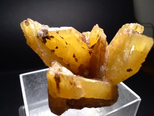 Baryte<br />Clara Mine, Rankach Valley, Oberwolfach, Wolfach, Black Forest, Baden-Württemberg, Germany<br />73 x 62 mm<br /> (Author: Sante Celiberti)