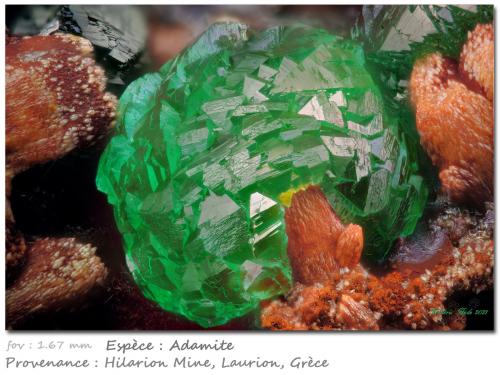 Adamite<br />Hilarion Mine, Hilarion area, Kamariza Mines, Agios Konstantinos, Lavrion Mining District, Attikí (Attica) Prefecture, Greece<br />fov 1.67 mm<br /> (Author: ploum)