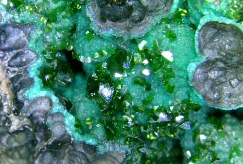 Pseudomalaquita, Libethenita<br />Mina Miguel Vacas, Freguesías Pardais y Conceição, Vila Viçosa, Distrito Évora, Província Alentejo Central, Región Alentejo, Portugal<br />Campo de visión 2 cm.<br /> (Autor: Antonio P. López)