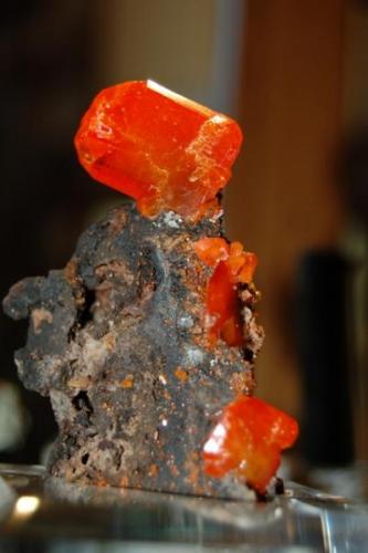 Wulfenite
Red Cloud Mine
La Paz County, Arizona (Author: Gail)