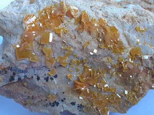 Wulfenite<br />Mina Stefanie, Zona minera Bleiberg, Bad Bleiberg, Distrito Villach-Land, Carintia/Kärnten, Austria<br />9 x 5 cm<br /> (Author: Volkmar Stingl)