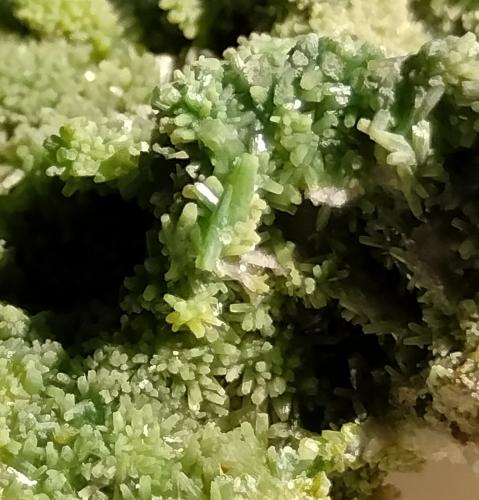 Pyromorphite<br />Mina Crabulazzu, Arbus, Provincia Medio Campidano, Cerdeña/Sardegna, Italia<br />Close up.<br /> (Author: Firmo Espinar)