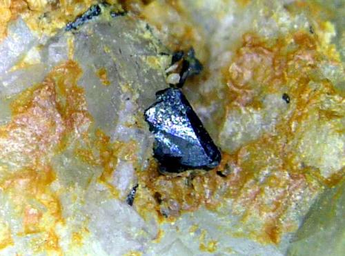 Cechita<br />Mina María Magdalena (Mina Santiago), calicata 'de l´Alzina', Lo Fangar (Els Solans), Ulldemolins, Comarca Priorat, Tarragona, Cataluña / Catalunya, España<br />Campo de visión 5 mm.<br /> (Autor: Antonio P. López)