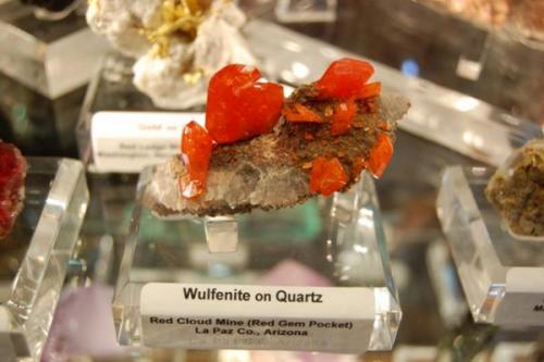 Wulfenite on Quartz
Red Gem Pocket
Red Cloud Mine, La Paz Co. Arizona (Author: Gail)