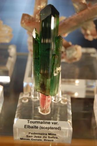 Tourmaline var. Elbaite
( sceptered ) 
Pederneira Mine, San Jose da Safira, Minas Gerais, Brazil (Author: Gail)