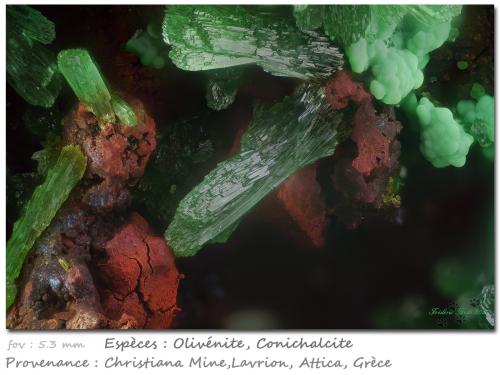 Olivenite and Conichalcite<br /><br />fov 5.3 mm<br /> (Author: ploum)