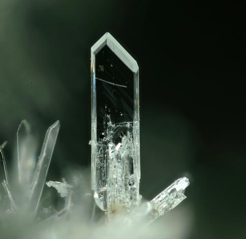 Laurionita<br />Mazarrón, Comarca Alto Guadalentín, Region of Murcia (Murcia), Spain<br />Campo de visión 0,6 mm.<br /> (Autor: Rewitzer Christian)