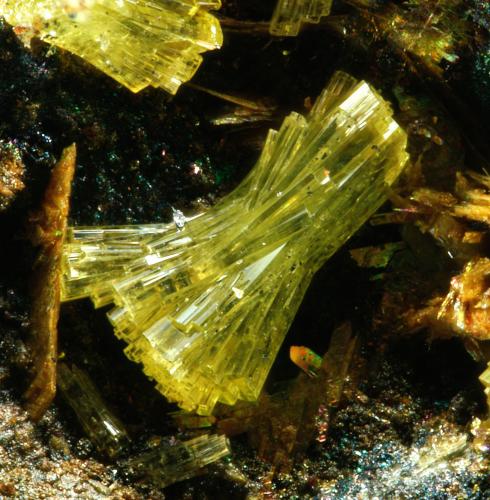 Nealita<br />Mazarrón, Comarca Alto Guadalentín, Region of Murcia (Murcia), Spain<br />Campo de visión 3,8 mm.<br /> (Autor: Rewitzer Christian)