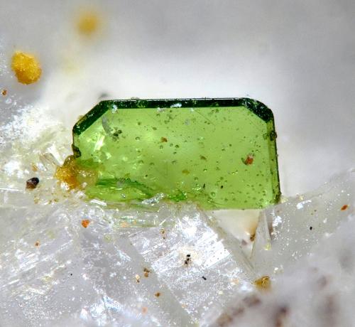 Torbernita<br />La Paloma Mine, Zarza la Mayor, Mancomunidad Rivera de Fresnedosa, Cáceres, Extremadura, Spain<br />Campo de visión 0,7 mm.<br /> (Autor: Rewitzer Christian)