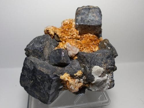 Galena, Dolomite<br />Georges vein, Sidi Ayad (Sidi Ayed), Boulemane Province, Fès-Meknès Region, Morocco<br />13 x 10 cm<br /> (Author: Sante Celiberti)